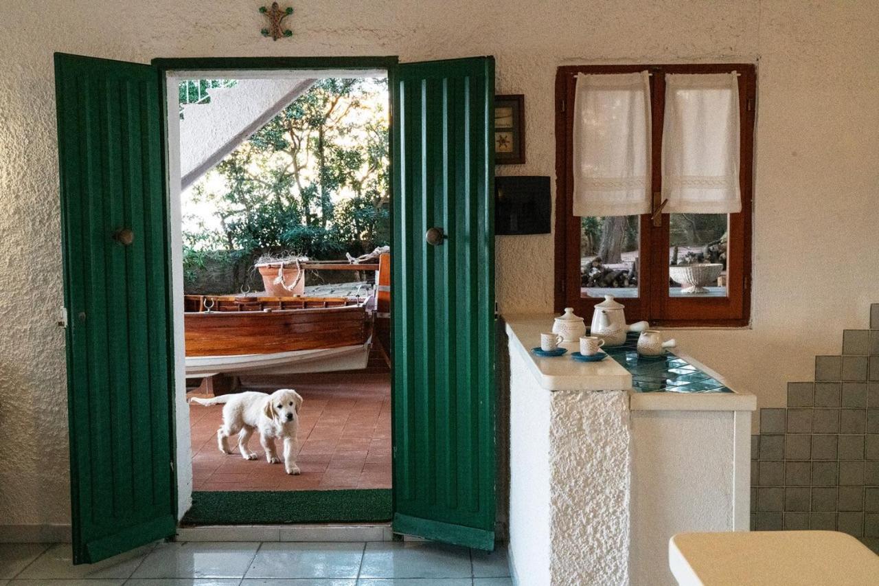 Villa Angela Santa Teresa Gallura Dış mekan fotoğraf
