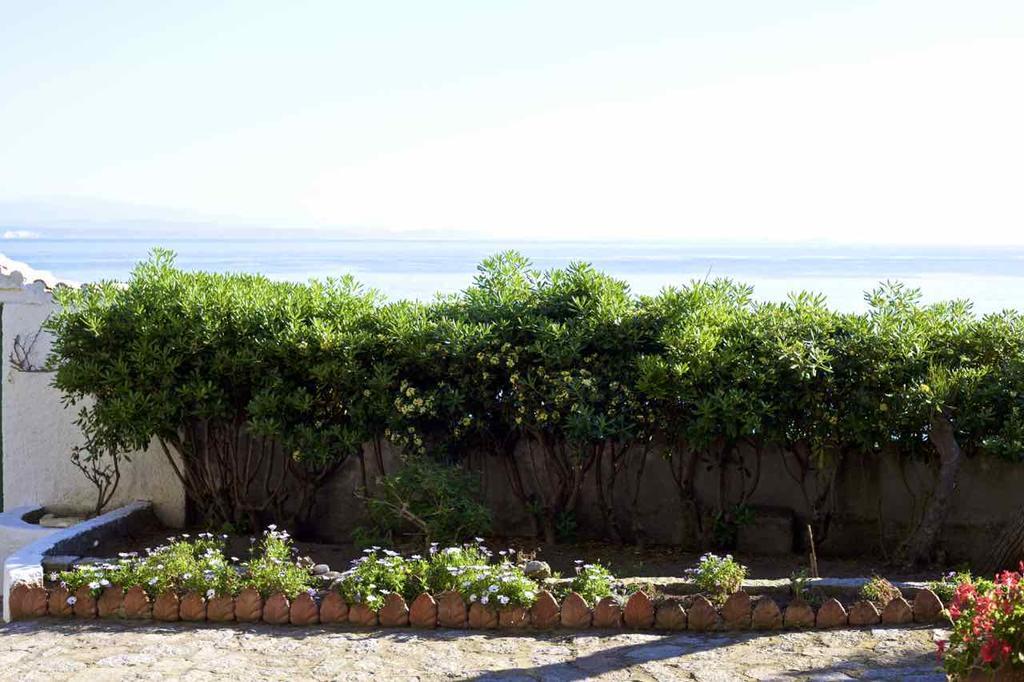 Villa Angela Santa Teresa Gallura Dış mekan fotoğraf